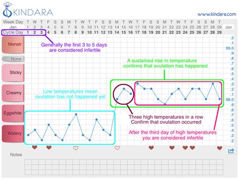 Fertility Chart, Natural Birth Control, Fertility Tracking, Fertility Awareness Method, Natural Family Planning, Healthy Period, Birth Control Methods, Fertility Awareness, Womens Health Care