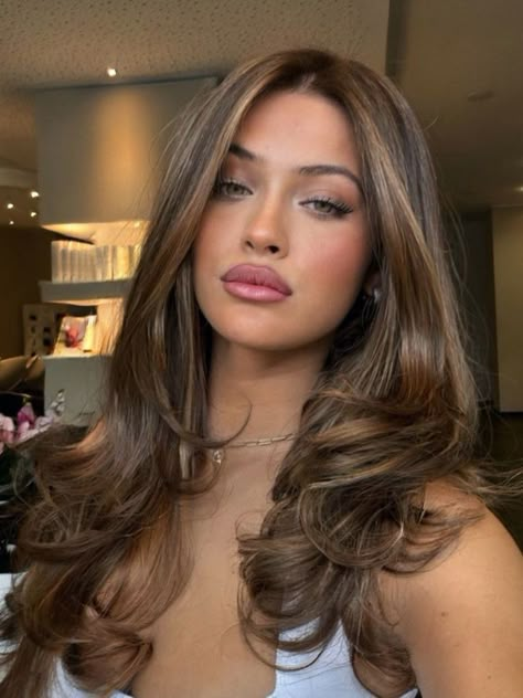 Fall Hair Color for Brunettes 2024: 27 Trendy Ideas from Ombre to Subtle Highlights for All Lengths Brown Hair Looks, Brown Hair Inspo, Brunette Hair With Highlights, Hair With Highlights, Long Brown Hair, Hair Inspo Color, Color Inspo, Hair Colours, Brunette Hair