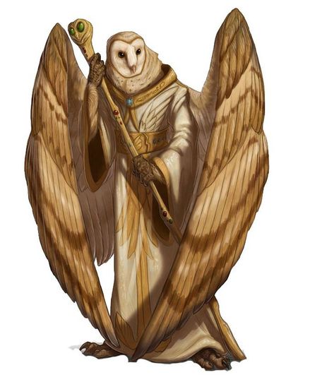 DnD Character art collection dump - Imgur Bird People, Heroic Fantasy, Dungeons And Dragons Characters, Fantasy Rpg, Fantasy Inspiration, Dnd Characters, Fantasy Artwork, Creature Design, Kiosk