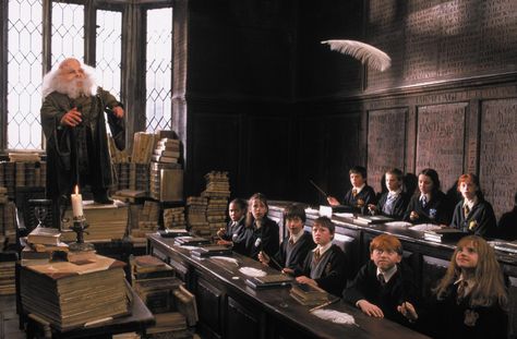 Harry Potter and the Sorcerer's Stone Devon Murray, Professor Flitwick, Hogwarts Classes, Harry Potter Travel, Hogwarts Professors, Warwick Davis, Buku Harry Potter, Rupert Grint, The Sorcerer's Stone