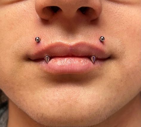 👁️👄👁️ Some unique upper lip piercings (angel fangs) that @cosmicheartpiercings got to do for a client Spikes were used on the bottom to achieve the fang look and we used jewelry components from @industrialstrength These piercings have grown in popularity recently and we are about it! We hope to see more unique fun stuff like this in the studio 🤩😎 Angel Piercing Lips, Angel Lip Piercing, Angle Bite Fangs Piercing, Vampire Fangs Piercings, Piercing Reference, Angel Bite Piercing Fangs, Angel Fangs Piercing With Snake Bites, Angle Fangs Piercings, Kitty Fangs Piercing