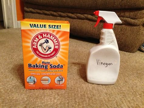 Homemade Toilet Cleaner, Clean Baking Pans, Cleaning Painted Walls, Soda Brands, Old Carpet, Carpet Cleaning Hacks, Deep Cleaning Tips, Diy Simple, Clean Dishwasher