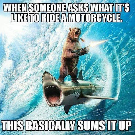 Hey braaa, what's it like to ride a motorcycle? Dirt Bike Quotes, Bike Humor, Motorcycle Memes, Motorcycle Humor, Bike Quotes, Fast Life, Biker Quotes, Motorcycle Quotes, Car Memes