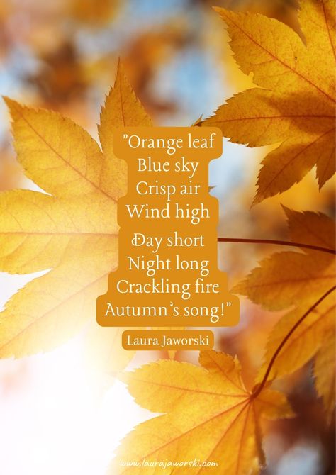 80+ Fall Quotes to Celebrate the Beauty of the Season 🍂 Autumn Poems, Fall Songs, Fall Quotes, Nature Words, Poem A Day, Study Quotes, Crisp Air, Autumn Quotes, Fabulous Fall