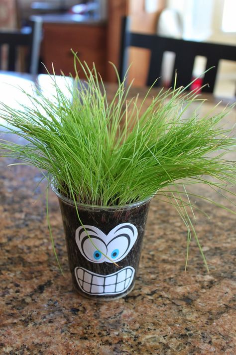 Akela's Council Cub Scout Leader Training: Grass Heads are a great way to teach Cub Scouts about Growing Seeds - Theme Planting Seeds of Kindness Grass Heads, Seeds Of Kindness, Beaver Scouts, Cub Scouts Wolf, Cub Scouts Bear, Tiger Scouts, Cub Scouts Tiger, Cub Scout Crafts, Wolf Scouts