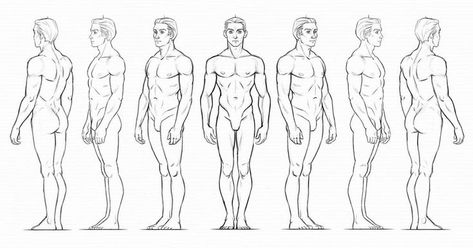 Male 360 Reference, Character Rotation Design Reference, Torso Turnaround, Character Rotation Sheet, Back Of Character, Body Reference Drawing Anatomy, T Pose Character, Men Anatomy Reference, Man Anatomy Drawing