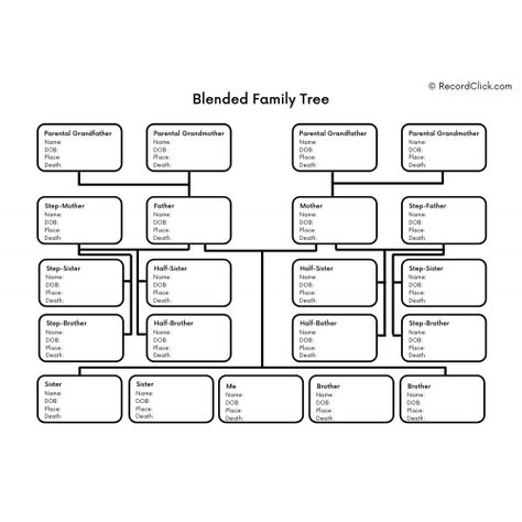 Genealogy Blended Family Tree Template | RecordClick.com Tree Template, Family Tree Template, Tree Templates, Adoptive Parents, Step Parenting, Blended Family, Family Reunion, Family Tree, Genealogy