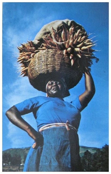 Haiti History, Port Au Prince Haiti, Jamaican Culture, Haitian Art, Vintage Black Glamour, Afrocentric Art, Tutankhamun, African Diaspora, African Culture