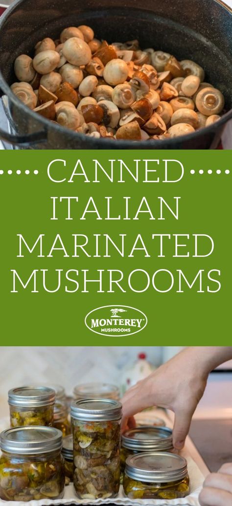 Canning Pickled Mushrooms, Canned Marinated Mushrooms Recipe, Canning Recipes Sauces, Pickled Mushrooms Recipe Canning, Canned Marinated Mushrooms, Canning Marinated Mushrooms, Italian Marinated Mushrooms, Canning Water Bath Recipes, Canning Mushrooms Recipes