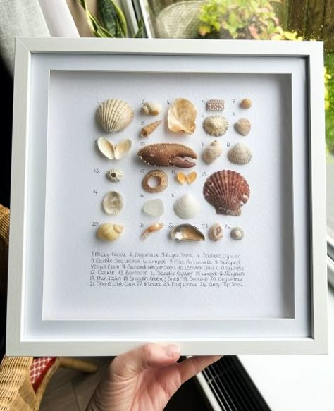 Art With Shells, Shell Art Ideas, Mini Tela, Seashell Artwork, Seashell Display, Shell Artwork, Seashell Ideas, Seashell Art Diy, Seashell Frame