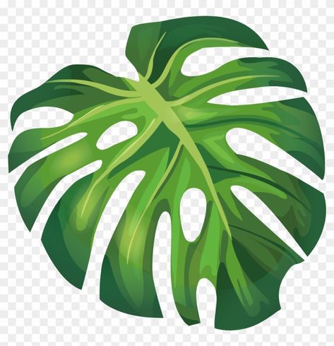 Leaf Clip Art, Plant Clip Art, Safari Party Decorations, Plant Diy, Leaf Vector, Plant Logos, Plant Clips, Beach Illustration, Flower Outline