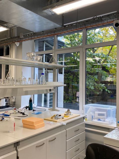 ITMO UNIVERSITY chemistry laboratory autumn Lab Doctor Aesthetic, Chemical Laboratory Aesthetic, Lab Astethic, Lab Work Aesthetic, Research Lab Aesthetic, Lab Aesthetic Science, Lab Research Aesthetic, Science Lab Aesthetic, Chemistry Lab Aesthetic