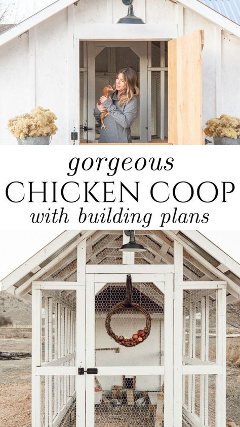 Chicken Coop Behind Garage, Chicken Coop Air Flow, Large Coop Plans, Raised Chicken Coop With Run, Wallpapered Chicken Coop, Backyard Garden And Chicken Coop, Transform Shed Into Chicken Coop, Cold Climate Chicken Coop Designs, What To Put In Bottom Of Chicken Coop