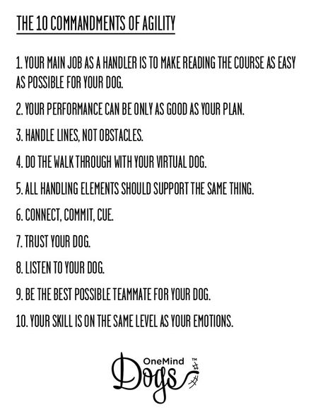 The 10 Commandments Of Agility - OneMind Dogs Dog Agility Quotes, Agility Quotes, Dock Diving, Dog Agility Training, Dog Agility Course, The 10 Commandments, Deaf Dog, Agility Training For Dogs, Rhetorical Question