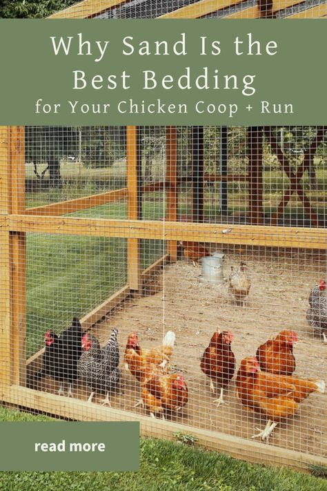 Chicken Coop Run Accessories, Chicken Run Accessories, Chicken Run Activities, Covered Chicken Run, Backyard Chicken Run, Make A Chicken Coop, Easy Diy Chicken Coop, Uses For Vinegar, Farm Pets