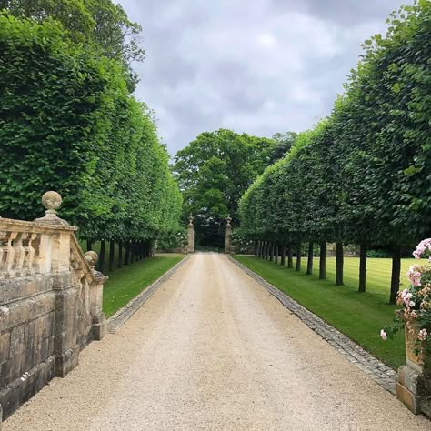 Hedge Lined Driveway, Long Driveway Entrance, Grand Driveway Entrance, Fancy Driveway, Driveway Hedge, Long Driveway Landscaping, Estate Driveway, Eclectic Exterior, Drive Ways