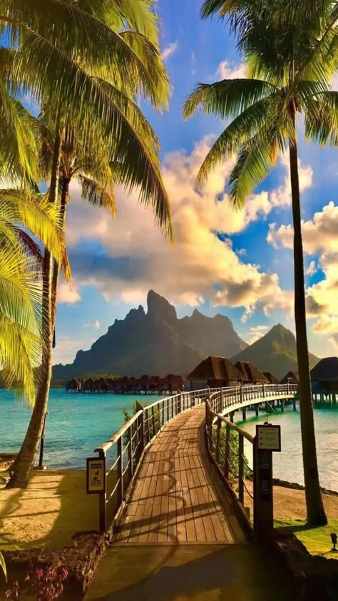 Bora Bora. Beach. Island. Travel. Life Dream Vacations Destinations, Adventure Vacation, 수채화 그림, Dream Travel Destinations, Alam Yang Indah, Vacation Places, Bora Bora, Beautiful Places To Travel, Pretty Places