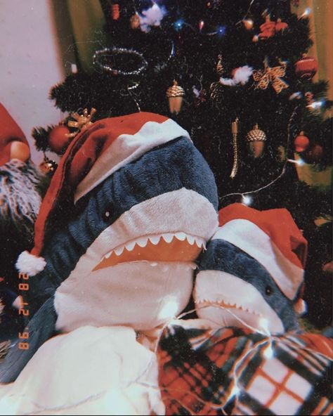 #christmas #shark #🎅🏻 Christmas Shark, Shark Plush, Cute Shark, Aesthetic Aesthetic, Christmas Aesthetic, Just Girly Things, Xmas Decorations, Sharks, Funny Cute