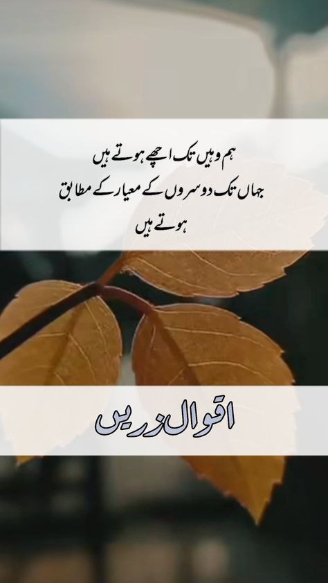 "Celebrate the beauty of Urdu language and the power of wisdom with these Aqwale Zareen (Inspirational Quotes). Each quote is a ray of light that illuminates the path towards a meaningful and purposeful life. Pin it to spread the inspiration!"

Feel free to customize these descriptions to match your specific collection of "Aqwale Zareen" in Urdu. Emphasize the beauty of the language, the depth of the quotes, and the transformative power of the words. Brave Man Quotes, Beautiful Words In Urdu, Aqwale Zareen In Urdu, Beautiful Quotes In Urdu, Life Quotes In Urdu, Aqwale Zareen, Fancy Napkin Folding, Best Quotes In Urdu, Urdu Image