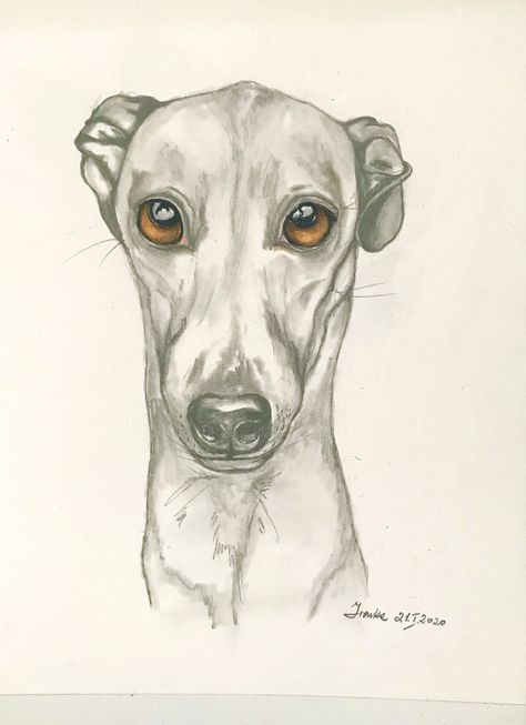 Lurcher Dog Drawing, Lurcher Drawing, Greyhound Sketch, Whippet Painting, Whippet Drawing, Greyhound Drawing, Artwork Diy Paintings, Greyhound Tattoo, Hare Drawing