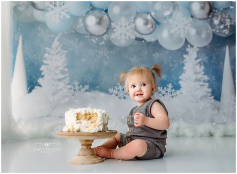 Baby Kendra's Winter Wonderland Cake Smash Winter Wonderland Cake, Cake Photoshoot, Winter Onederland Party, Onederland Birthday Party, Winter Wonderland Birthday, Winter Onederland Birthday, Cake Smash Backdrop, Winter Wonderland Theme, Snowflake Background