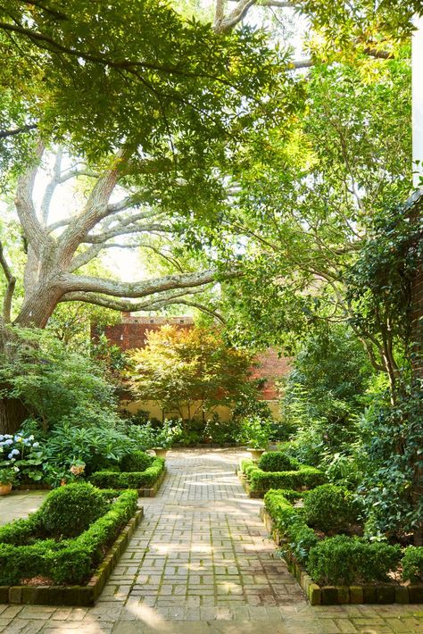 The brick walk that connects the rooms is framed by an assortment of trees and shrubs. #southerngardening #curbappeal #southerngardenideas #landscapingideas #gardendesign #southernliving Miranda Brooks Garden, Lawn Free Yard, Moss Lawn, French Hydrangea, Charleston Gardens, No Grass Backyard, Small Courtyard Gardens, Southern Garden, Lush Lawn