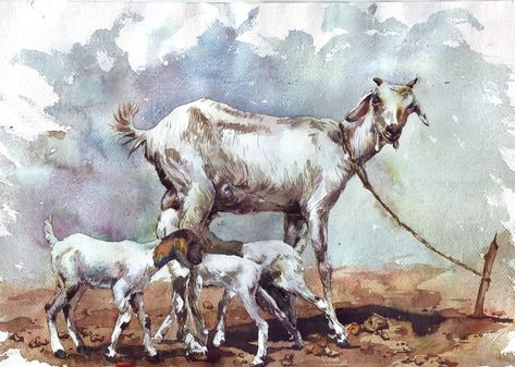 Indian Goat, Conceptual Sketches, Animals Painting, Cambodian Art, Architecture Drawing Sketchbooks, Watercolor Paintings Nature, Butterfly Art Painting, Boho Art Drawings, Art Village