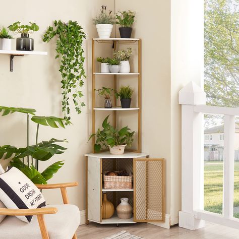 Floating shelves in kitchen