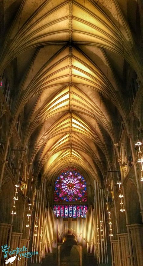 Inside of Nidaros Cathedral Nidaros Cathedral, Trondheim Norway, Scandinavia Travel, Trondheim, Gothic Architecture, Amazing Architecture, Scandinavia, Travel Bucket List, Iceland