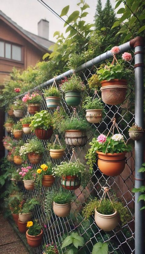 Chain Link Fence Ideas, Easy Outdoor Projects, Natural Plant Fertilizer, Vertical Succulent Gardens, Garden Basket, Garden Solutions, Balcony Plants, Stone Walkway, Bottle Garden