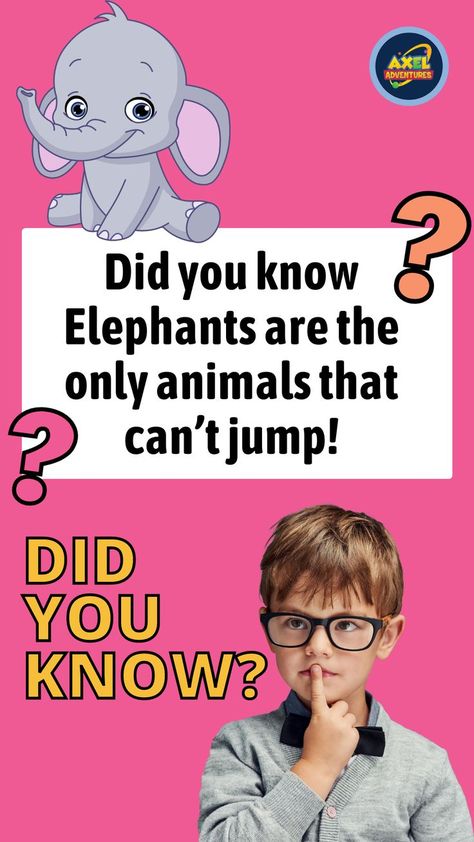 Fun Facts About Elephant for Kids | Elephant Facts Did You Know | Elephant Knowledge | Daily General Knowledge | General Knowledge Education | General Knowledge Everyone Should Know | Special Education | Did You Know Animal Facts | Did You Know Facts Mind Blown Science | Interesting Animal Facts for Kids Elephant Facts For Kids, Interesting Animal Facts, Fun Facts About Elephants, Elephants For Kids, Panda Facts, Educational Facts, Animal Facts Interesting, Animal Facts For Kids, Nature Lessons