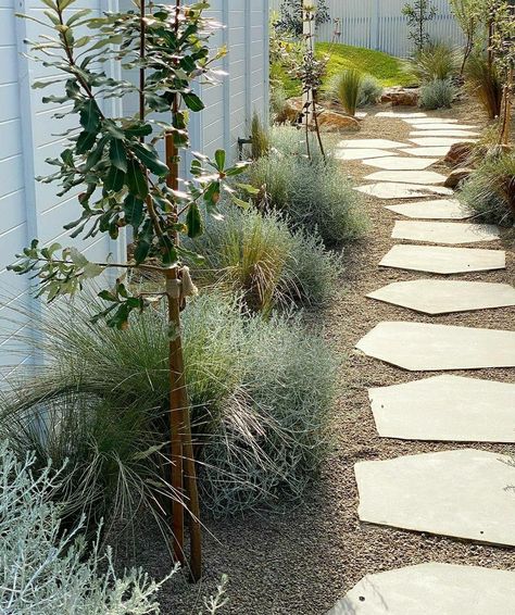 Beach House Garden, Australian Garden Design, Desert Gardens, Australian Native Garden, Side Yard Landscaping, Front Garden Design, Garden Screening, Australian Garden, Coastal Gardens