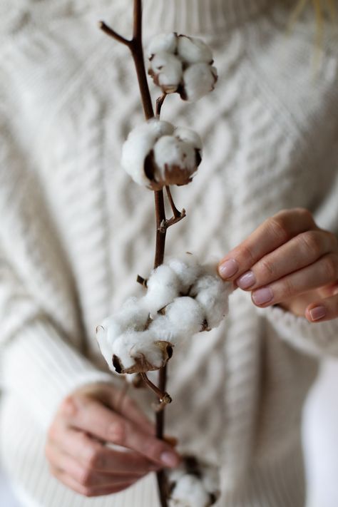 Cotton Candy Machine Accessories, Cotton Plantations, Cotton Photography, Cotton Candy Machines, Cotton Branches, Collection Board, Minimal Photo, Fabric Photography, Cotton Fields