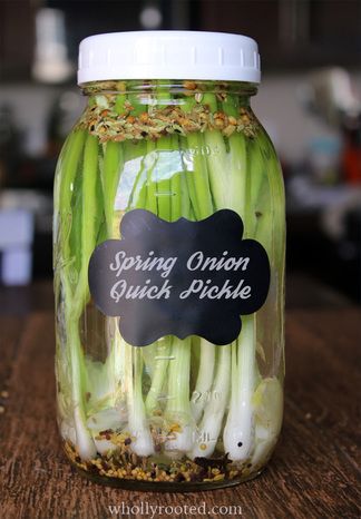 Canning Green Onions, Bunching Onions Recipe, Preserving Spring Onions, Pickled Spring Onions, Fermented Green Onions, Pickled Green Onions, Spring Onions Recipes, Asian Pickled Vegetables, Pickled Green Onions Recipe