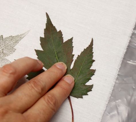 How To: Printing With Leaves - Lynda Heines Fabric Design Diy T Shirt Printing, Resist Printing, Leaf Print Art, Decorated Tote Bags, Diy Leaves, Pressed Flower Crafts, Texture Painting On Canvas, Leaf Crafts, Tile Shower Ideas