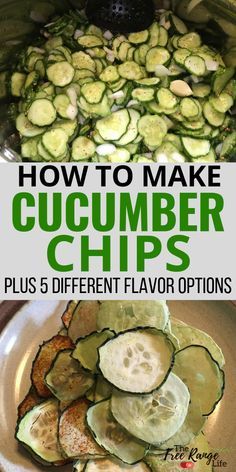 Dehydrating cucumbers into crunchy cucumber chips is a great way to preserve cucumbers from your garden. You can make BBQ chips, ranch chips, other flavors of your choice. All you need is a dehydrator! Dehydrate Cucumber Chips, Sour Cream And Onion Cucumber Chips, Dehydrating Cucumbers Cucumber Chips, Dehydrated Cucumber Chips Recipes, Air Fried Cucumber Chips, Freeze Dried Cucumber Chips, Air Fried Cucumbers, Ways To Preserve Cucumbers, Air Fryer Cucumber Chips