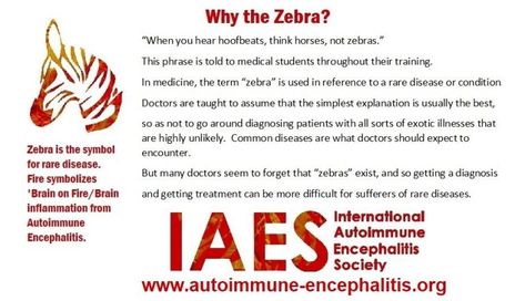 Memes About Autoimmune-Encephalitis Autoimmune Encephalitis, Elhers Danlos Syndrome, Rare Disorders, Family Caregiver, Rare Disease, Visual Aids, Blood Test, Open Your Eyes, Medical Students