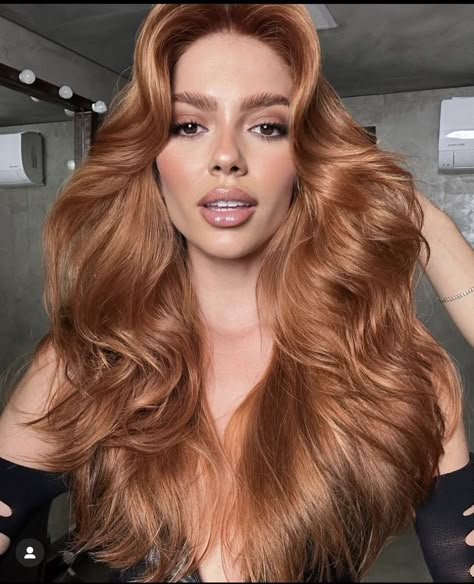 Indian Saree Look, Copper Hair Ideas, Cowboy Copper Hair, House Of Colour, Copper Blonde Hair, Cowboy Copper, Tint Color, Copper Blonde, Ginger Hair Color