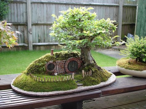 Bag End Bonsai Trayscape - Bonsai Empire Fairy Tent, Broken Pot Garden, Dinosaur Garden, Garden Ideas To Make, Secret Garden Book, Beautiful Home Gardens, Fairy Garden Houses, Miniature Trees, Fence Decor