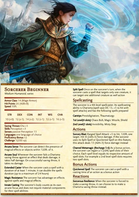 Dnd Sorcerer, Dnd 5, Dnd Stats, Dungeon Master's Guide, Dnd Classes, Dungeons And Dragons Classes, Dnd 5e Homebrew, Dnd Dragons, D D Monsters