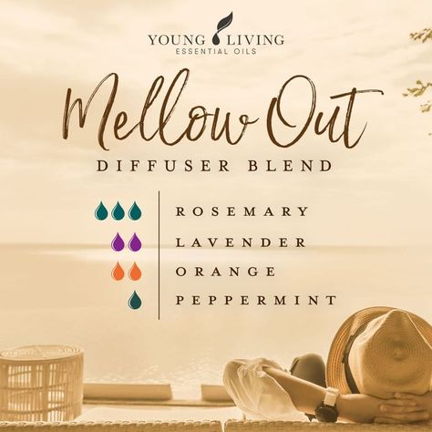 Young Living AU NZ on Instagram: “Weekend vibes ☺️ Sit back and relax with this Mellow Out diffuser blend that combines Rosemary, Lavender, Orange, and Peppermint essential…” Relaxing Essential Oils, Essential Oil Combinations, Doterra Essential Oils Recipes, Essential Oil Diffuser Blends Recipes, Essential Oil Remedy, Young Living Essential Oils Recipes, Essential Oils Guide, Essential Oil Diffuser Recipes, Oil Diffuser Recipes