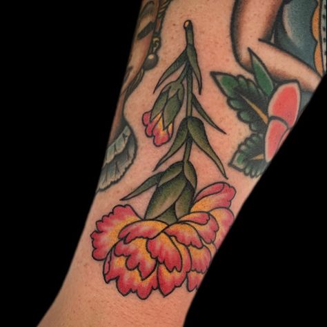 becca genné-bacon (@beccagennebacon) • Instagram photos and videos Old School Carnation Tattoo, Traditional Carnation Tattoo, Carnation Flower Tattoo, Carnation Tattoo, Tattoo 2024, American Traditional Tattoo Ideas, Traditional Tattoo Ideas, Traditional Sleeve, American Tattoos