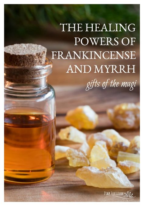 We all know the Bible story about the Three Wise Men bringing Baby Jesus gold, frankincense, and myrrh. These Magi were known as healers, and thousands of years later, frankincense and myrrh essential oils have a myriad of healing powers. Are you using these oils to their healing potential?     Both frankincense and myrrh … Frankincense Essential Oil Benefits, Frankincense Essential Oil Uses, Gold Frankincense And Myrrh, The Three Wise Men, Myrrh Oil, Myrrh Essential Oil, Frankincense And Myrrh, Essential Oil Blends Recipes, Health Ideas