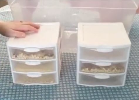 Chicken Hatchery Ideas, Cricket Farming Diy, Mealworm Farm Setup, How To Raise Mealworms, Mealworms Raising, Mealworm Farm Diy, Diy Mealworm Farm, Raising Mealworms, Meal Worms For Chickens