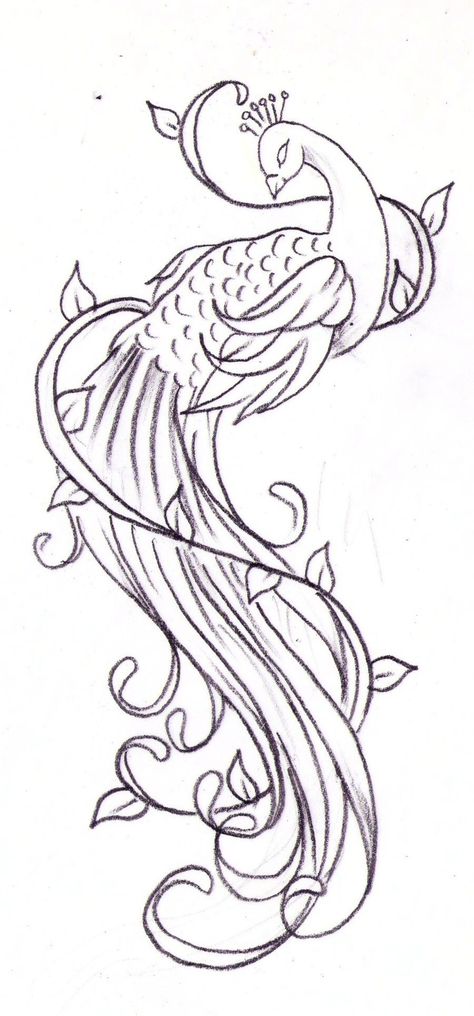 Peacock Sketch, Tattoo Wallpaper, Peacock Drawing, Peacock Tattoo, Art Quilling, Quilled Creations, Body Tattoo, Peacock Art, Deviant Art