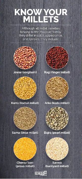 International Year Of Millets, Millet Benefits, Juice Design, Cooking Grains, Pearl Millet, English Vinglish, Millet Flour, Millet Recipes, Plant Milk