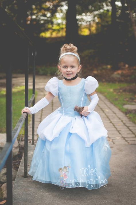 Princess Dress For Birthday, Cinderella Halloween Costume, Cinderella Gown, Birthday Costume, Cinderella Birthday Party, Costume Princess, Princess Halloween Costume, Cinderella Dress, Cinderella Costume