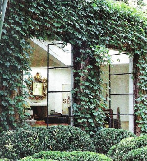 Steel Doors And Windows, Ivy Wall, Steel Windows, Chateau France, Christmas Garden, Steel Doors, Plant Wall, Outdoor Rooms, Elle Decor