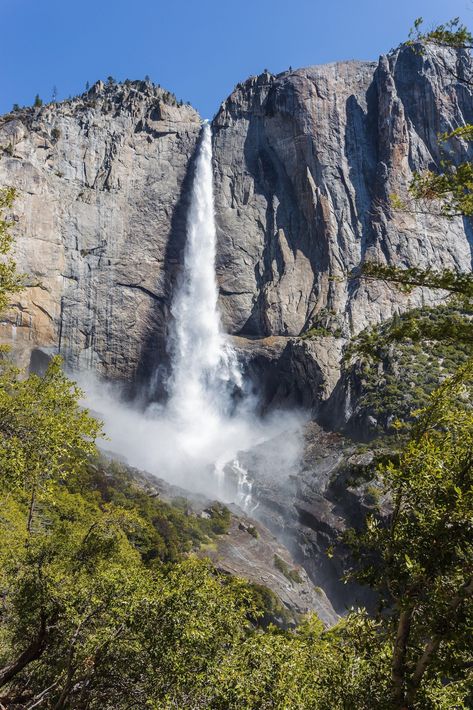 Explore the most popular destinations in Yosemite, Kings Canyon, and Sequoia National Parks with this easy-to-follow one week itinerary. Yosemite Vacation, Yosemite Sequoia, One Week Itinerary, Pacific Coast Road Trip, California Coast Road Trip, Yosemite Trip, Yosemite California, Yosemite Park, Kings Canyon National Park