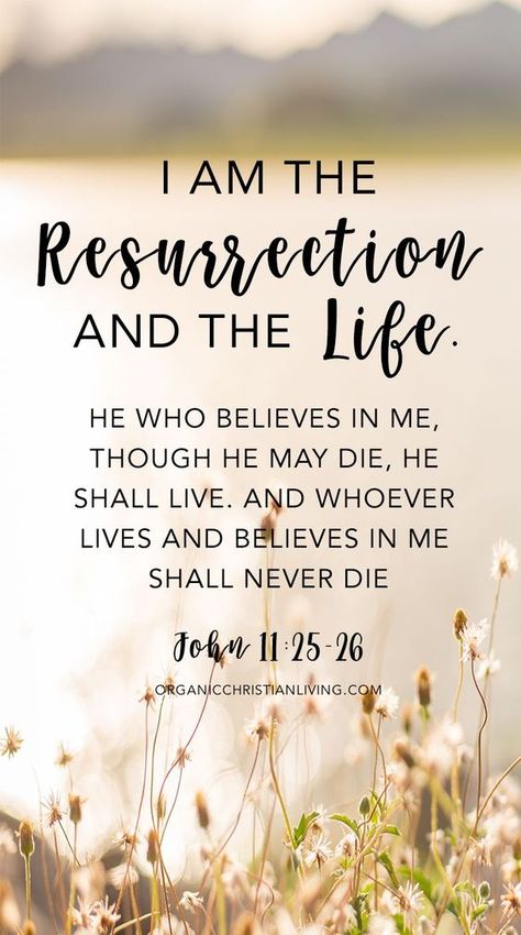 10 Easter Bible Verses To Pray Through | FaithHub Resurrection Quotes, Easter Quotes Christian, Easter Bible Verses, Bible Verses About Strength, Quotes Christian, Easter Quotes, Bible Quotes Images, Quotes Bible, Bible Time